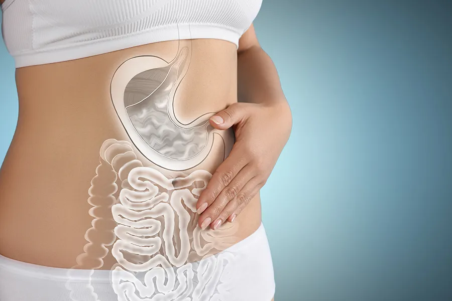 Close up of the midriff of a woman with white underwear and an illustration of the digestive system superimposed over the image. Get help for digestive issues and gut health from Dr. Bahar Amin in North York.