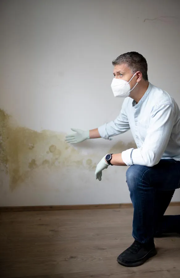 A building professional in a protective mask points out mold damage on a wall. Get treatment for mold and mycotoxin illness from Dr. Bahar Amin in North York.