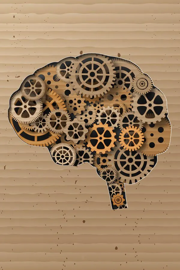 An illustration of a brain cut out of cardboard, with wooden cogs inside, representing neurodegenerative diseases treated by Dr. Bahar Amin in North York.